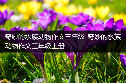 奇妙的水族动物作文三年级-奇妙的水族动物作文三年级上册