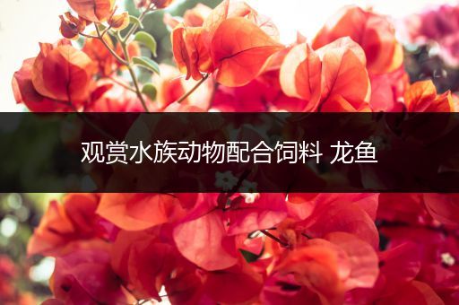 观赏水族动物配合饲料 龙鱼