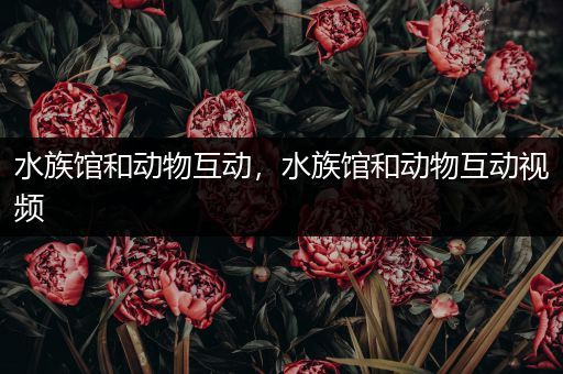 水族馆和动物互动，水族馆和动物互动视频