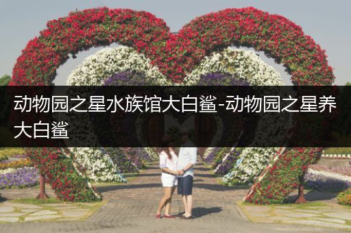 动物园之星水族馆大白鲨-动物园之星养大白鲨