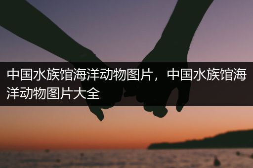 中国水族馆海洋动物图片，中国水族馆海洋动物图片大全