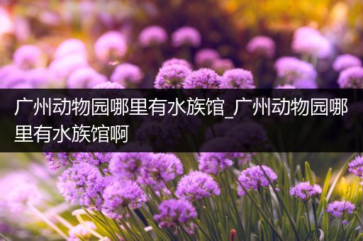 广州动物园哪里有水族馆_广州动物园哪里有水族馆啊