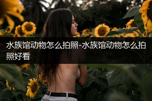 水族馆动物怎么拍照-水族馆动物怎么拍照好看
