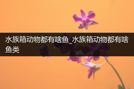 水族箱动物都有啥鱼_水族箱动物都有啥鱼类