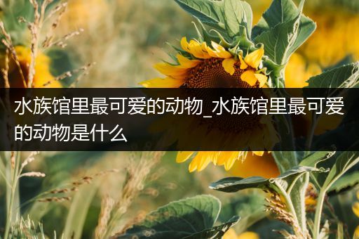 水族馆里最可爱的动物_水族馆里最可爱的动物是什么