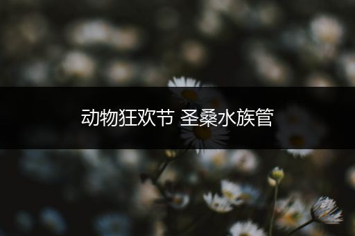 动物狂欢节 圣桑水族管