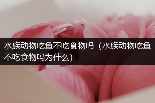 水族动物吃鱼不吃食物吗（水族动物吃鱼不吃食物吗为什么）