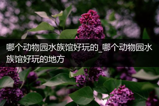 哪个动物园水族馆好玩的_哪个动物园水族馆好玩的地方