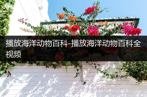 播放海洋动物百科-播放海洋动物百科全视频