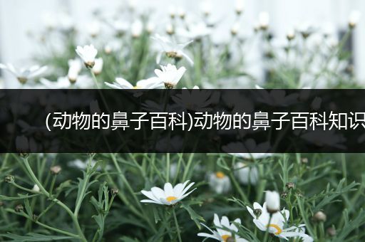 （动物的鼻子百科)动物的鼻子百科知识