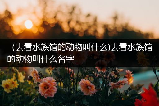 （去看水族馆的动物叫什么)去看水族馆的动物叫什么名字