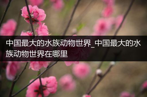 中国最大的水族动物世界_中国最大的水族动物世界在哪里