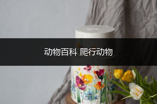 动物百科 爬行动物