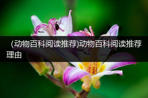 （动物百科阅读推荐)动物百科阅读推荐理由