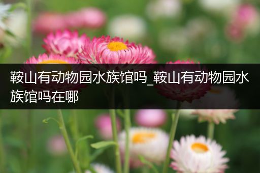 鞍山有动物园水族馆吗_鞍山有动物园水族馆吗在哪