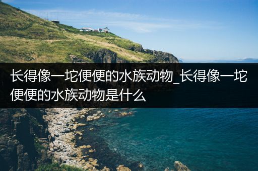 长得像一坨便便的水族动物_长得像一坨便便的水族动物是什么