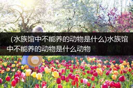 （水族馆中不能养的动物是什么)水族馆中不能养的动物是什么动物