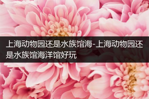 上海动物园还是水族馆海-上海动物园还是水族馆海洋馆好玩