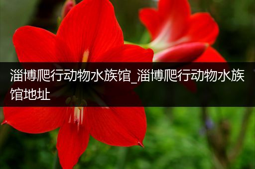 淄博爬行动物水族馆_淄博爬行动物水族馆地址