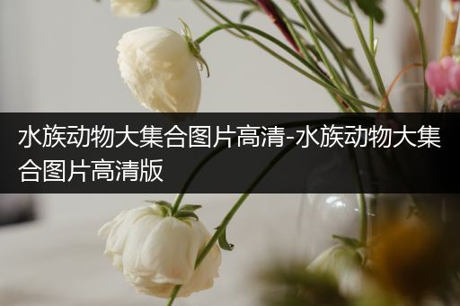 水族动物大集合图片高清-水族动物大集合图片高清版