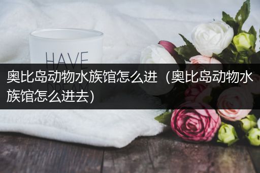 奥比岛动物水族馆怎么进（奥比岛动物水族馆怎么进去）