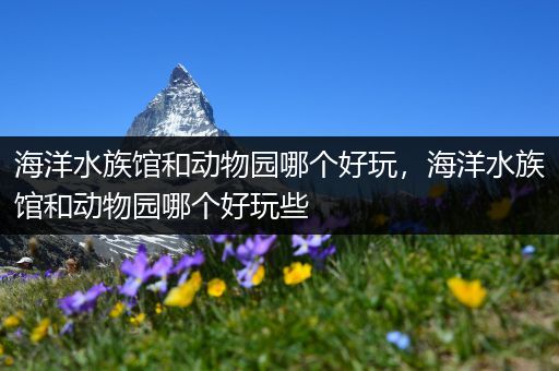 海洋水族馆和动物园哪个好玩，海洋水族馆和动物园哪个好玩些