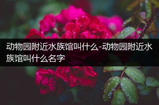 动物园附近水族馆叫什么-动物园附近水族馆叫什么名字