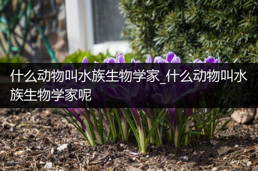 什么动物叫水族生物学家_什么动物叫水族生物学家呢