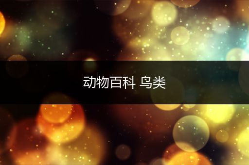 动物百科 鸟类