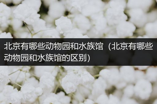 北京有哪些动物园和水族馆（北京有哪些动物园和水族馆的区别）