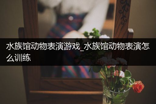 水族馆动物表演游戏_水族馆动物表演怎么训练