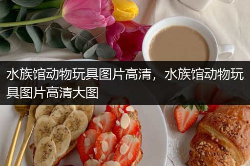 水族馆动物玩具图片高清，水族馆动物玩具图片高清大图
