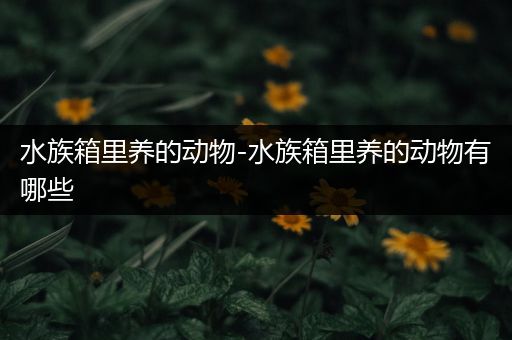 水族箱里养的动物-水族箱里养的动物有哪些