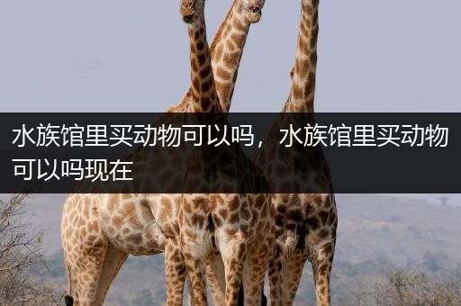 水族馆里买动物可以吗，水族馆里买动物可以吗现在