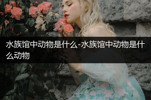 水族馆中动物是什么-水族馆中动物是什么动物
