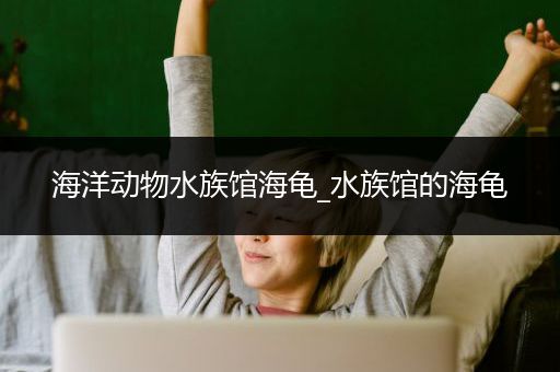海洋动物水族馆海龟_水族馆的海龟