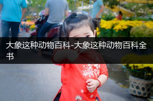 大象这种动物百科-大象这种动物百科全书