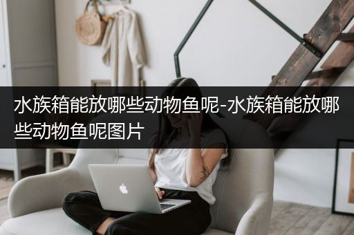 水族箱能放哪些动物鱼呢-水族箱能放哪些动物鱼呢图片