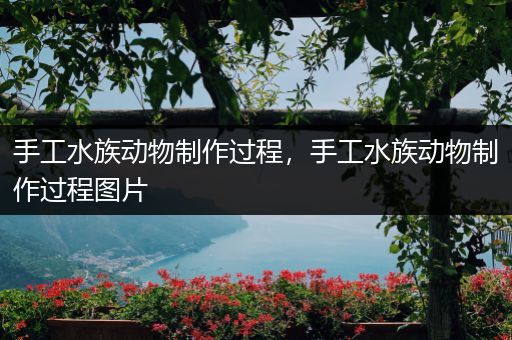 手工水族动物制作过程，手工水族动物制作过程图片