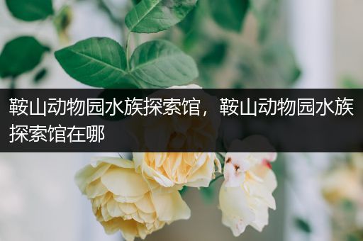 鞍山动物园水族探索馆，鞍山动物园水族探索馆在哪