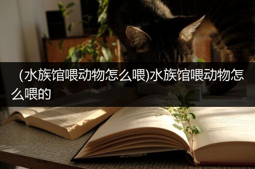 （水族馆喂动物怎么喂)水族馆喂动物怎么喂的
