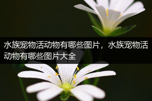 水族宠物活动物有哪些图片，水族宠物活动物有哪些图片大全