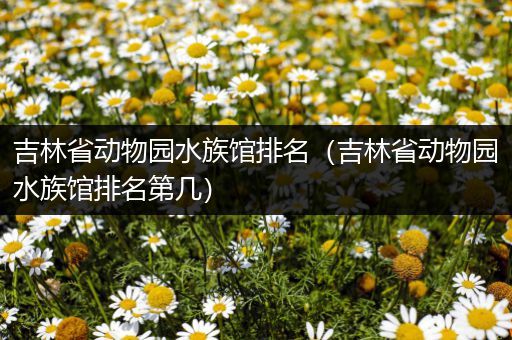 吉林省动物园水族馆排名（吉林省动物园水族馆排名第几）