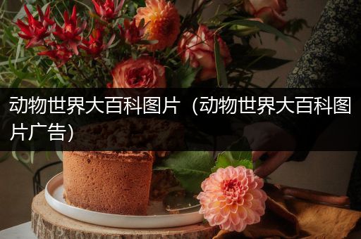 动物世界大百科图片（动物世界大百科图片广告）