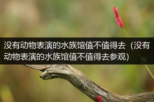 没有动物表演的水族馆值不值得去（没有动物表演的水族馆值不值得去参观）