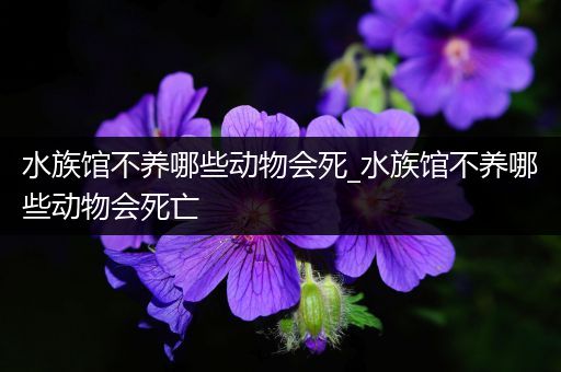 水族馆不养哪些动物会死_水族馆不养哪些动物会死亡