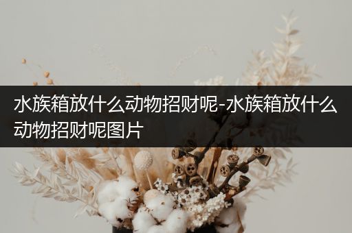 水族箱放什么动物招财呢-水族箱放什么动物招财呢图片