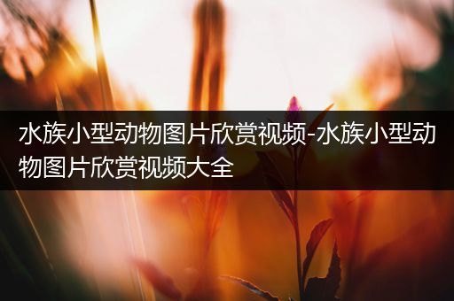 水族小型动物图片欣赏视频-水族小型动物图片欣赏视频大全