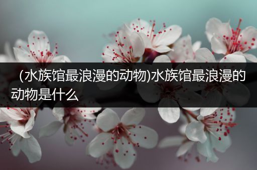 （水族馆最浪漫的动物)水族馆最浪漫的动物是什么