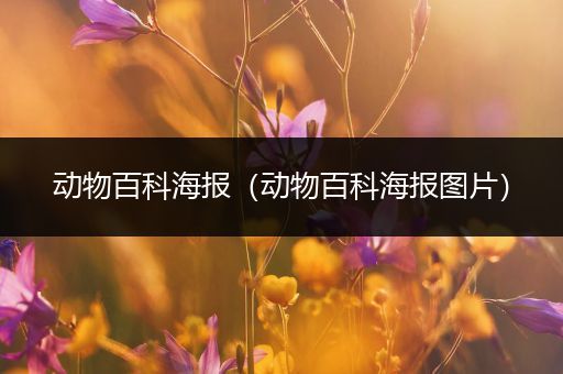动物百科海报（动物百科海报图片）